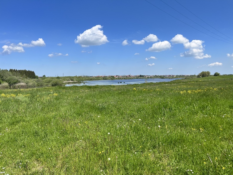 23-05-27 11-53-57 5730.jpg